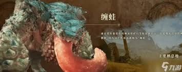怪物猎人荒野缠蛙怎么打