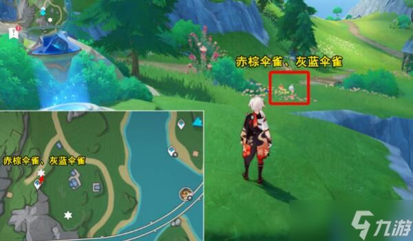 原神光影研学旖旎水界第四天攻略