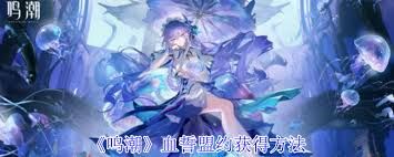 鸣潮血誓盟约如何获取