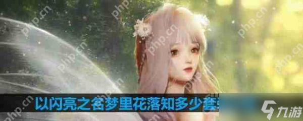 以闪亮之名梦里花落知多少套装介绍-梦里花落知多少细节展示