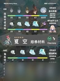 鸣潮夏空培养材料有哪些