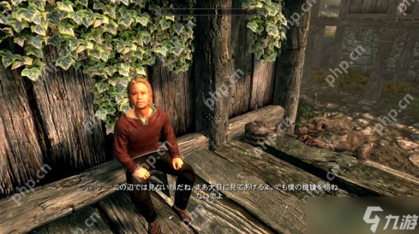 《上古5》玩家屠村后良心发现 询问如何孤儿找到新父母