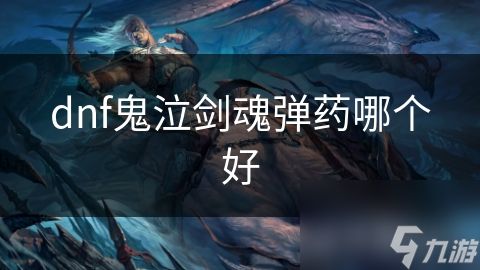 dnf鬼泣剑魂弹药哪个好