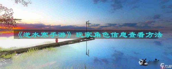 逆水寒手游玩家角色信息怎么查看-玩家角色信息查看方法