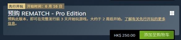 《REMATCH》游戏价格介绍