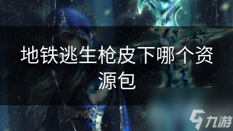 地铁逃生枪皮下哪个资源包