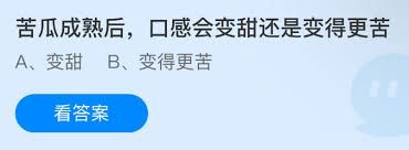 苦瓜成熟后口感会变甜还是更苦