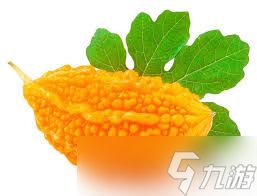 苦瓜成熟后口感会变甜还是更苦