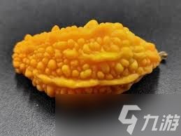苦瓜成熟后口感会变甜还是更苦