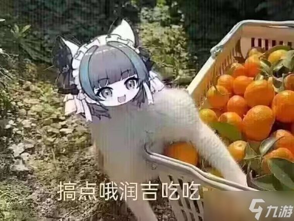 《妮姬：胜利女神》doro出典介绍