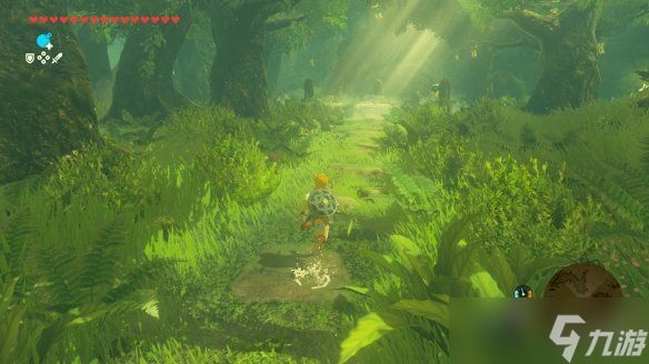 《荒野之息》Switch2版IGN10分：它可能永远都是满分!