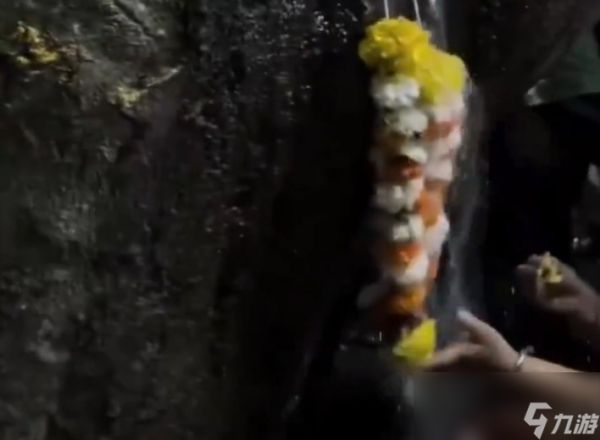 印度一棵树突然冒“圣水” 民众献花环：真相曝光尴尬