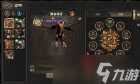 奇迹世界起源战士适合带什么宠物