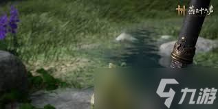 燕云十六声鹊踏枝皮肤有哪些爆料内容