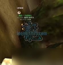 龙OL黑猫任务怎么过