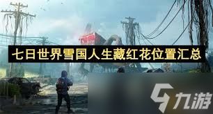 七日世界雪国人生藏红花在哪