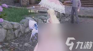 无限暖暖如何与盛大花焰合影一次