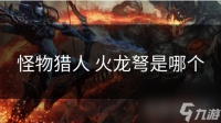 怪物猎人 火龙弩是哪个