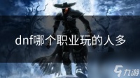 dnf哪个职业玩的人多