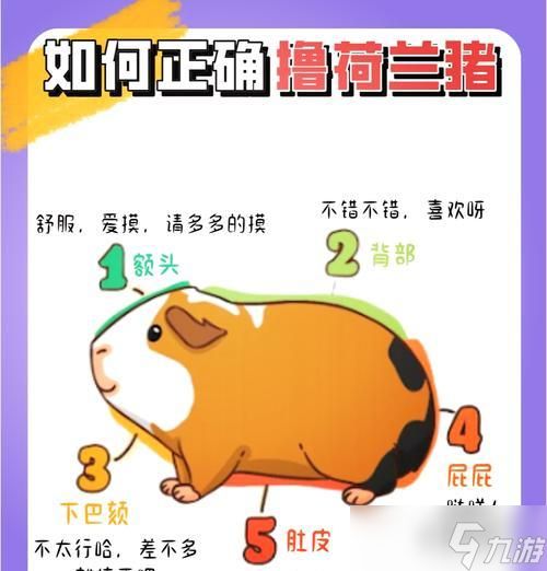 阴阳师豚鼠获取方法有哪些？如何快速获得豚鼠？