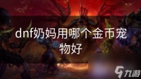 dnf奶妈用哪个金币宠物好