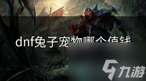 DNF兔子先生宠物外观怎么样