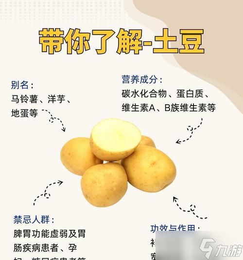 原神土豆的神奇用途（原神中土豆的多种用途和重要性）