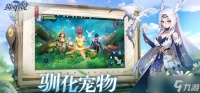 猎风传说全屏刷怪阵容怎么选宠-全屏刷怪阵容搭配推荐