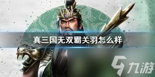 小小三国无双关羽怎么样