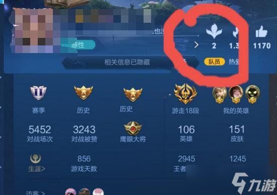 王者荣耀S24赛季个人主页界面调整：送花功能与战区位置变动解析
