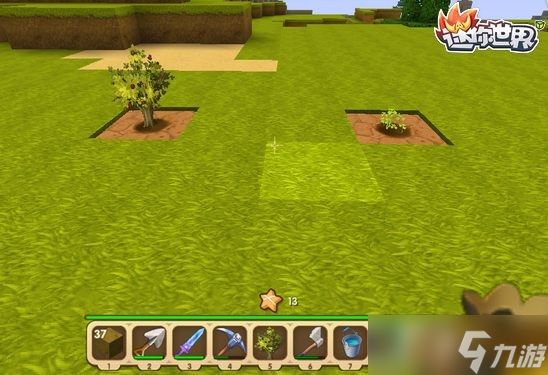 迷你世界怎么种树
