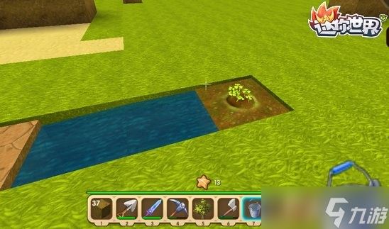 迷你世界怎么种树