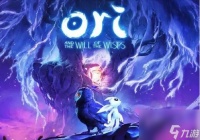 奥日2带什么技能