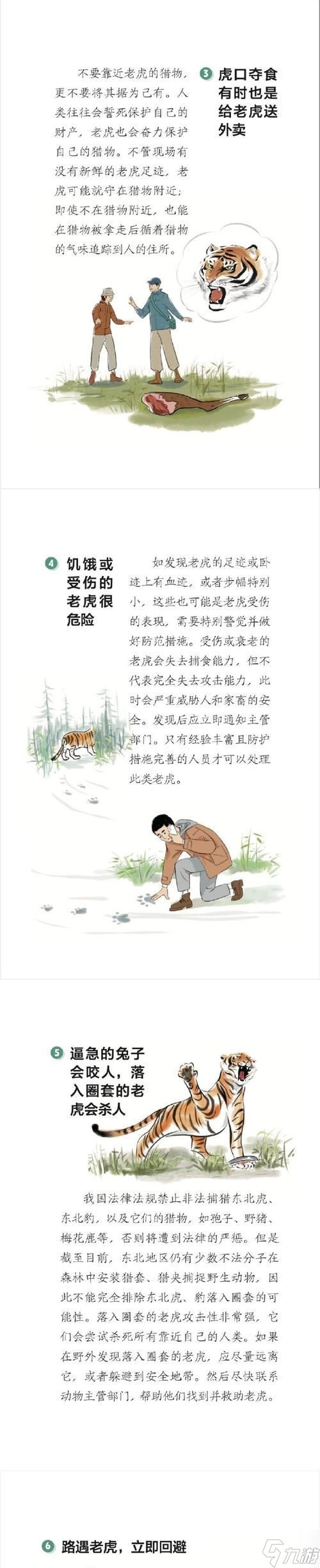 老虎任务的最优解是什么？