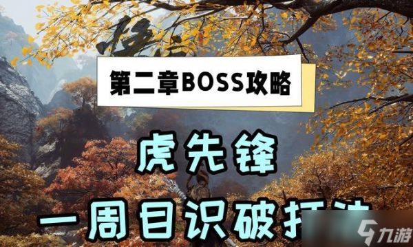 老虎任务的最优解是什么？