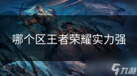 哪个区王者荣耀实力强