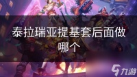 泰拉瑞亚提基套后面做哪个