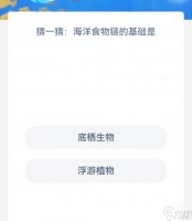 揭秘海洋食物链的基石