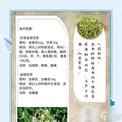 金银草药花在寻仙中的使用方法是什么？