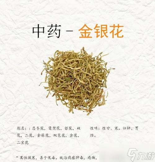 金银草药花在寻仙中的使用方法是什么？