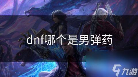 dnf哪个是男弹药