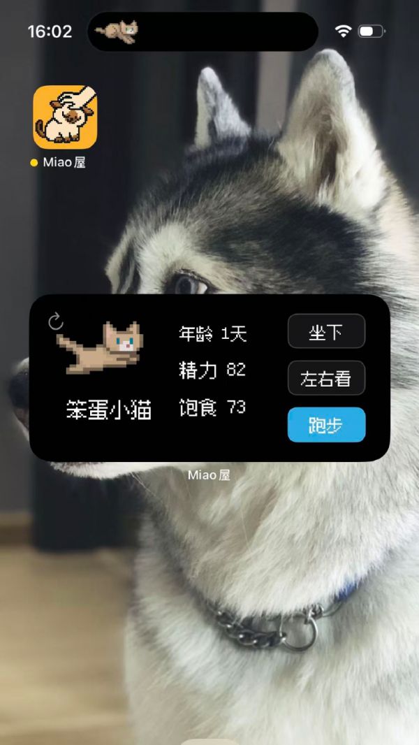 Miao屋什么时候出 公测上线时间预告