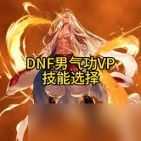 DNF男柔道VP选择方法