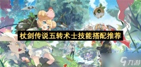 杖剑传说五转术士技能搭配推荐