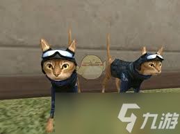 CF猫枪是什么