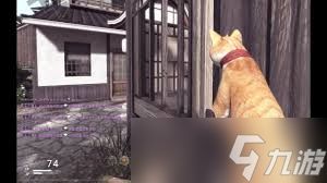 CF猫枪是什么