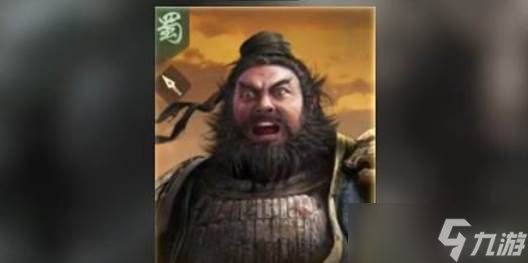 三国谋定天下魏延介绍