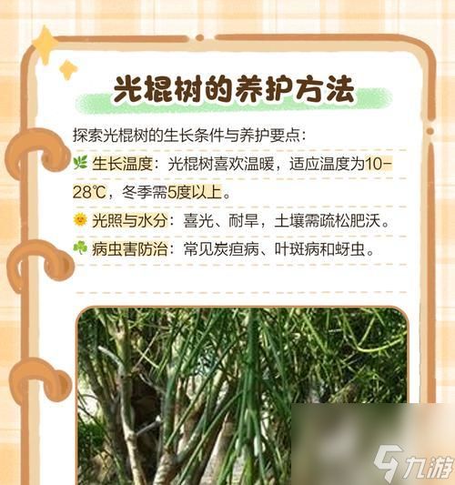 树木法术的获取途径是什么？需要满足哪些条件？