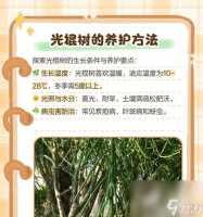 树木法术的获取途径是什么 需要满足哪些条件