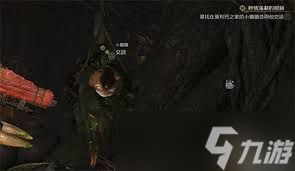 怪物猎人荒野热情满载的眼镜支线怎么完成